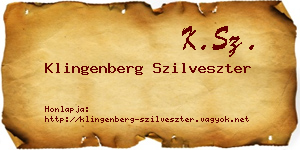 Klingenberg Szilveszter névjegykártya